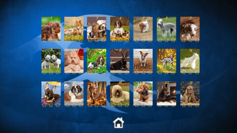 Puppy Dog: Jigsaw Puzzles Game Icon