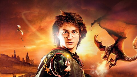 Harry Potter: The Goblet of Fire Ícone de jogo