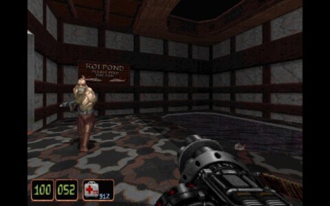 Shadow Warrior Game Icon