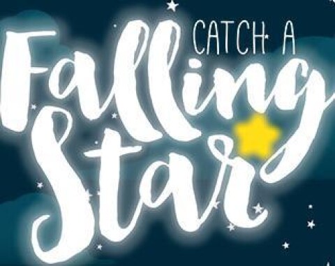 Catch a Falling Star Game Icon