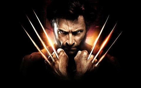 X-Men Origins: Wolverine Game Icon