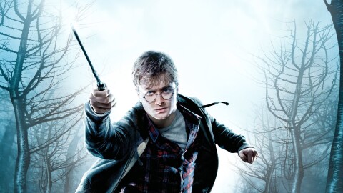 Harry Potter and the Deathly Hallows: Part 1 Game Icon
