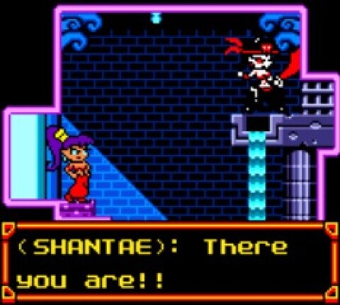 Shantae Game Icon