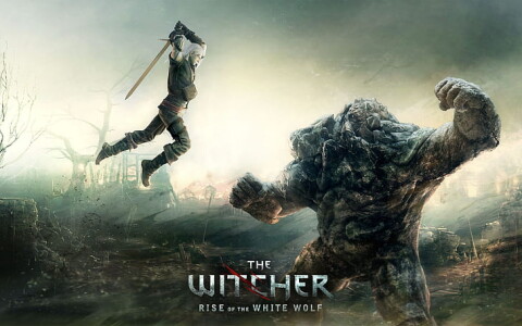 The Witcher: Rise of the White Wolf Game Icon