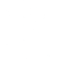 Équipe apinaorkesteri Logo