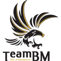 Team BM Hawk Logo