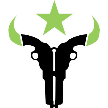 Team Houston Outlaws Logo