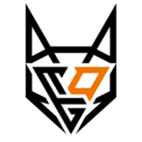 Equipe TeamOrangeGaming Logo