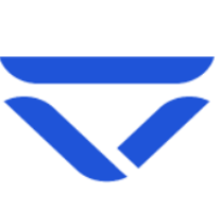 Team Veloce Esports Logo