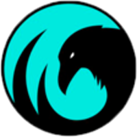 Team CrowCrowd Logo