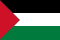 Team Palestine Logo