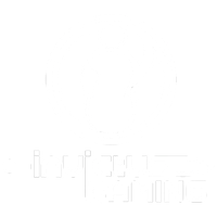 Invictus Gaming X