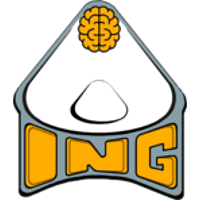 inG logo