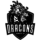 Black Dragons e-Sports Logo