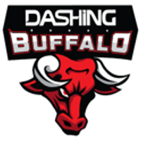 Team Dashing Buffalo Logo