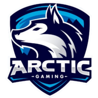 Team Arctic Gaming Logo