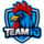 Team HD Logo