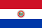 Team Paraguay Logo