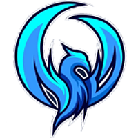 Team Night Wings Gaming Logo