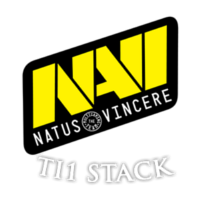Equipe TI1 Natus Vincere Logo