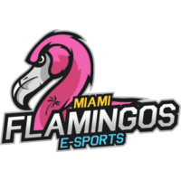 Équipe Miami Flamingos eSports Logo