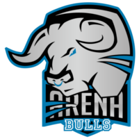 Équipe Arena Bulls Logo