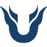 Team Team Unique Logo