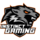 Instinct Gaming Logo