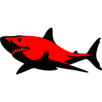 Team Sanguine Sharks Logo