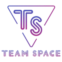 Team Team Space Logo