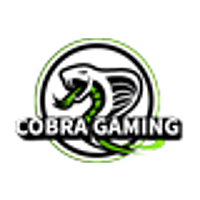 Equipe Cobra Gaming Logo