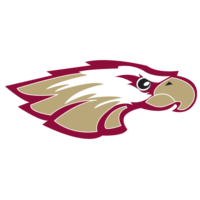 Team RMU Eagles Logo