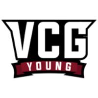 Équipe Vicious Gaming Young Logo