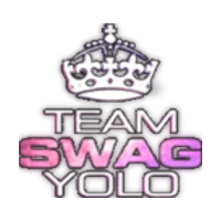 Team TEAMSWAGYOLO Logo