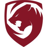 Tigers logo
