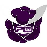 Team Purple Mood E-Sport Logo