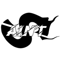 Team SAINT Logo