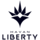 Havan Liberty Logo