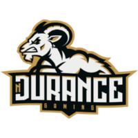 Team nDurance Gaming Logo