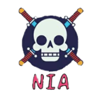 Team No IdeA Logo