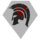 Team Veteran Logo