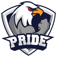 Team PRIDE Logo