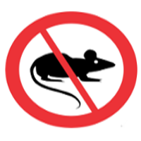 No Rats