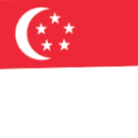 Team Singapore Logo