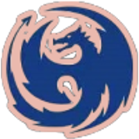Equipe Moon Chasers Logo