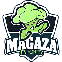 MGZ logo