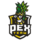 PEX Team Logo