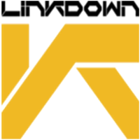 Team LinkDown Logo