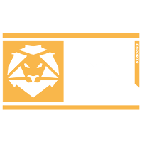 HSL Esports