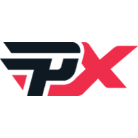 paiN X logo